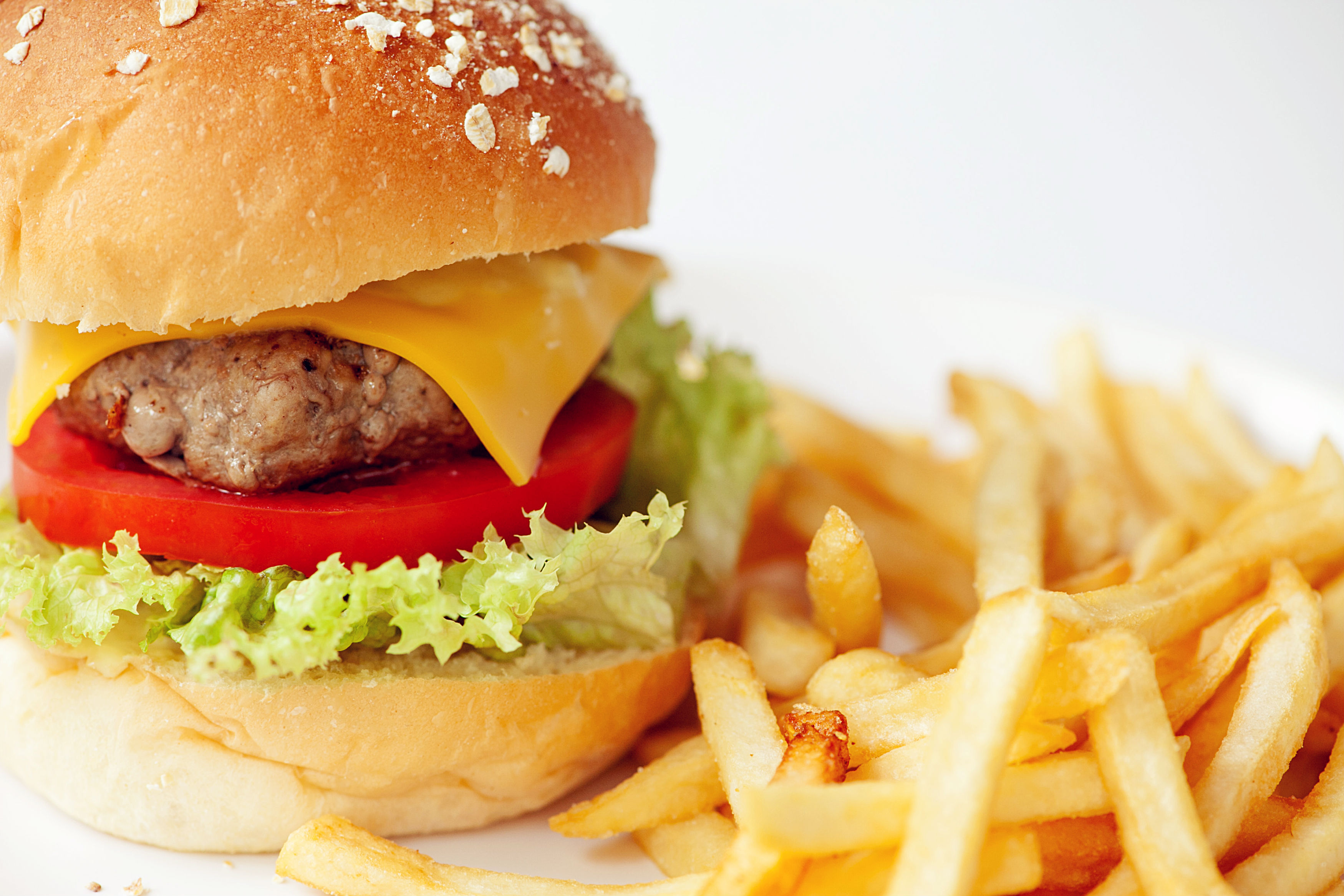 汉堡 薯条 (hamburger chips)