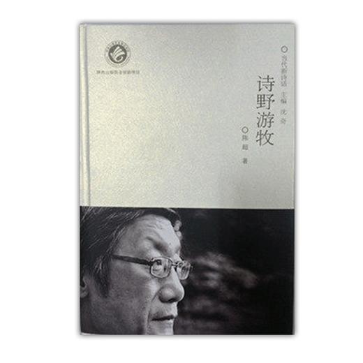 诗野游牧当代新诗话 商品图0