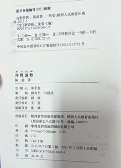 诗野游牧当代新诗话 商品图1