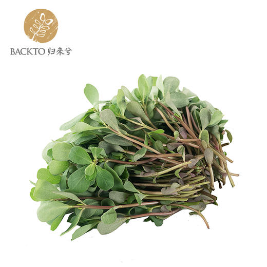 马齿苋 300g/份（庄园有机种植，无有机标） 全国配送（偏远地区除外） 商品图1