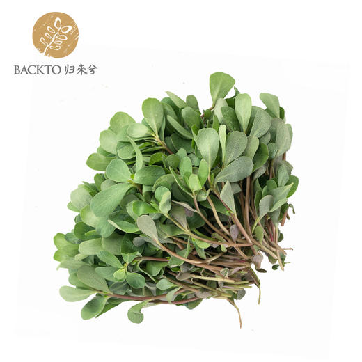 马齿苋 300g/份（庄园有机种植，无有机标） 全国配送（偏远地区除外） 商品图0