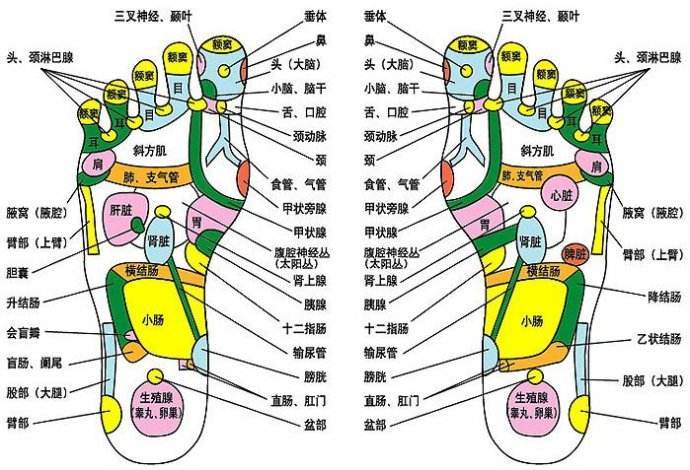 「泡腳包」艾絨石菖蒲泡腳包,有效祛溼毒通經絡(睡前泡泡腳,一覺睡到