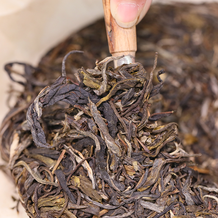 【小户赛】隐者圣灵--勐库拉祜族百年古树茶