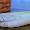 生态香茅 | 绿家自产* Eco-Citronella | Self-production 商品缩略图1