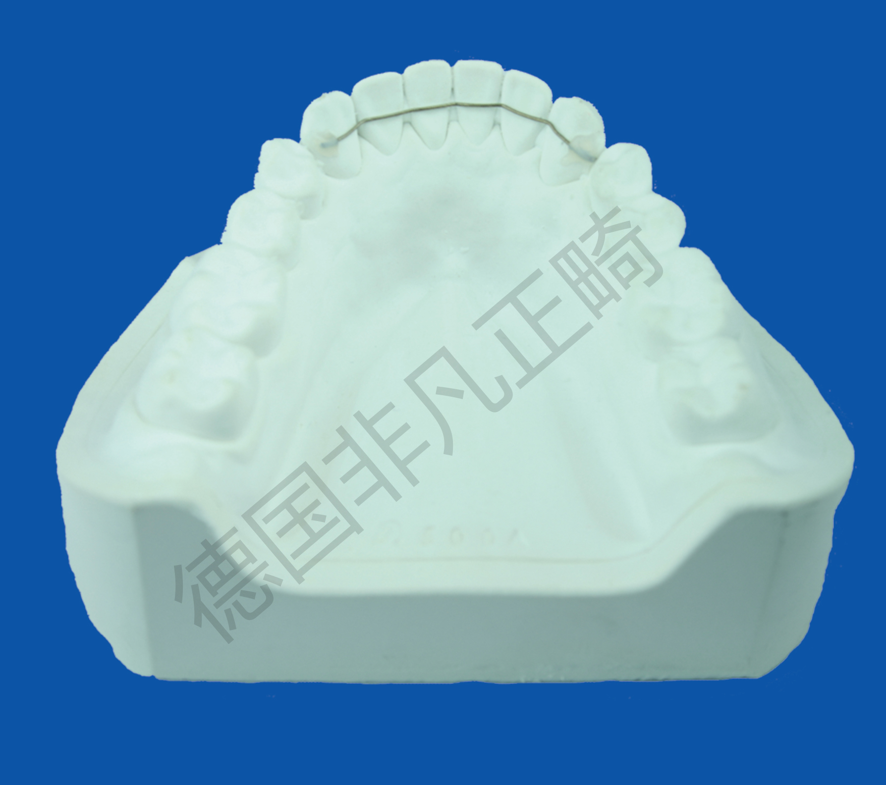 舌侧固定保持器(麻花丝)