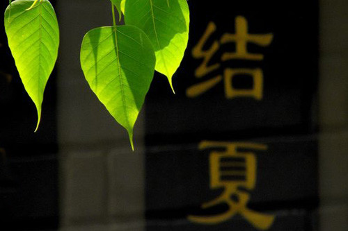 �������ۡ�2017����������߷�ϲ�չ��ƹ��ޣ���Բ����