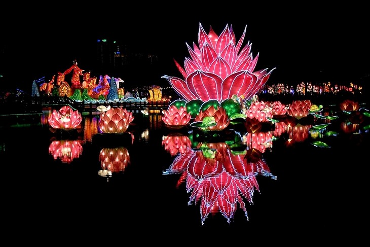 �������ۡ�2017����������߷�ϲ�չ��ƹ��ޣ���Բ����