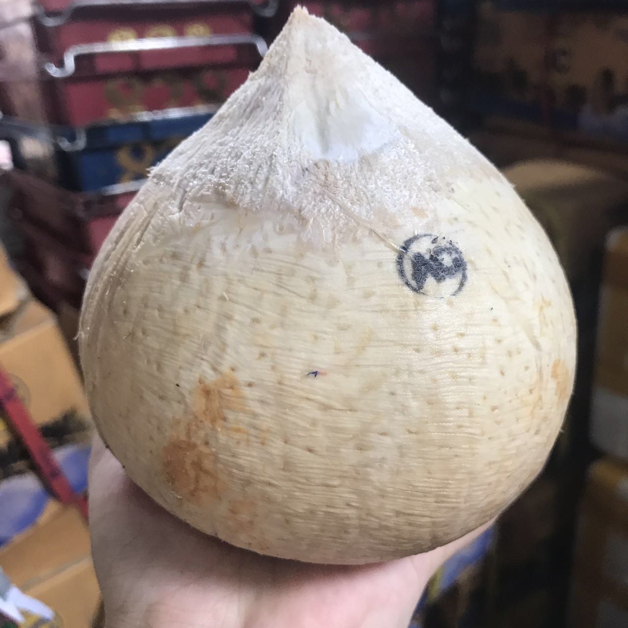 泰国椰皇 一盒8个装 煲椰子鸡 新鲜椰汁椰肉