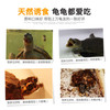经典系列成体水龟粮 商品缩略图3
