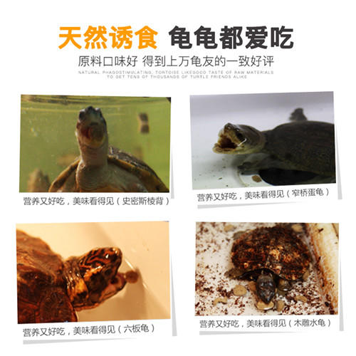 经典系列成体水龟粮 商品图3