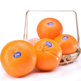 最新商品 - bingo shed