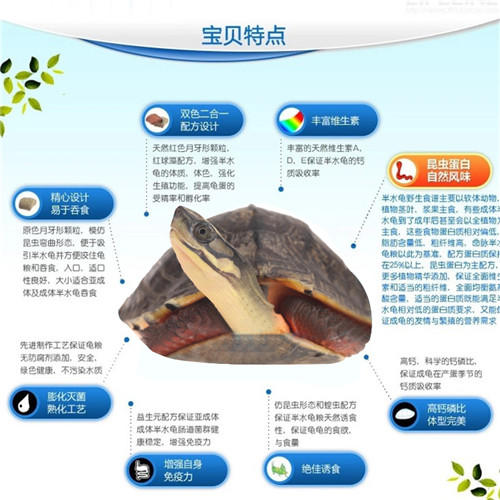 经典系列成体水龟粮 商品图5