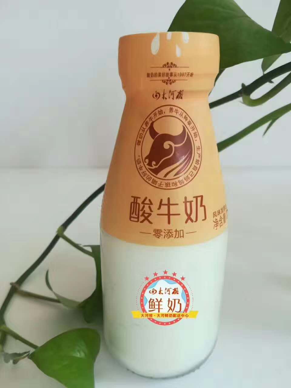 三剑客原味酸奶30天(郑州市内配送)