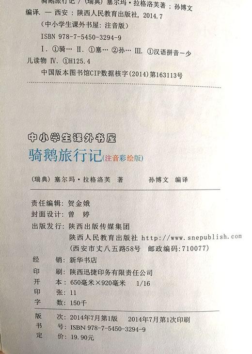 骑鹅旅行记 注音彩绘版 商品图1