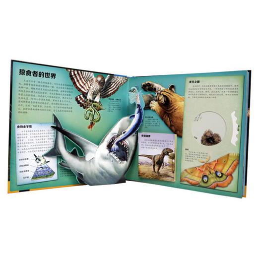 凶猛的掠食动物 商品图1