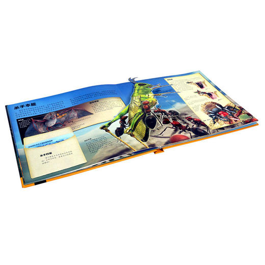 凶猛的掠食动物 商品图2