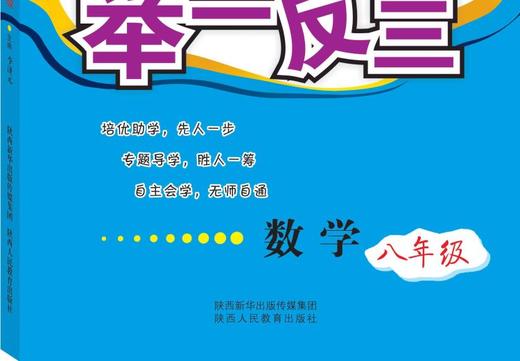 初中培优举一反三数学八年级 商品图2
