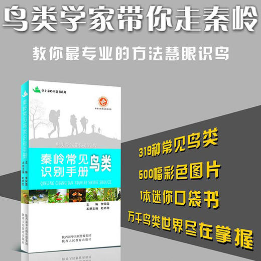 秦岭常见鸟类识别手册 商品图0