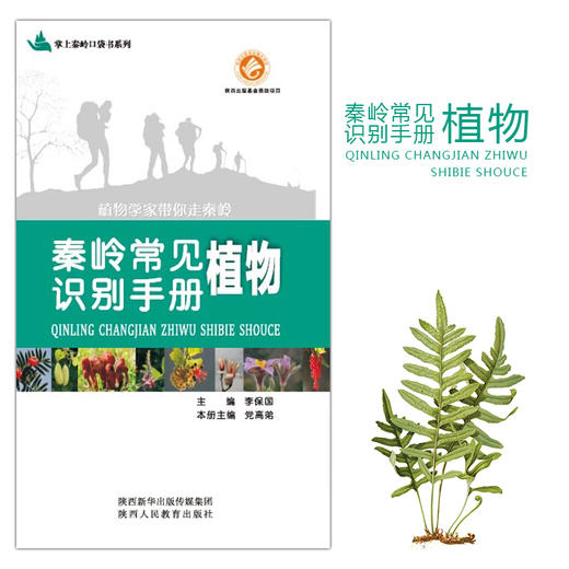 秦岭常见植物识别手册 商品图0