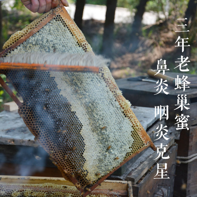 三年老蜂巢蜜】鼻炎、咽炎克星老药鼻炎灵主要