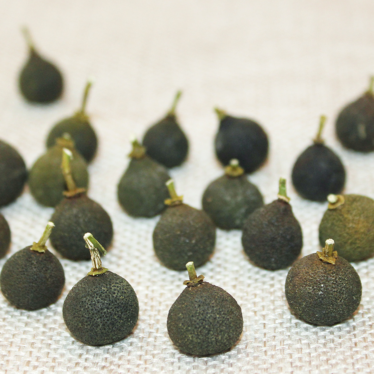 树摘新会柑胎仔bb果小青柑正宗陈皮果茶生晒