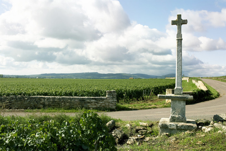 法国勒弗莱酒庄马贡韦尔兹干白葡萄酒domaineleflaivemaconverze