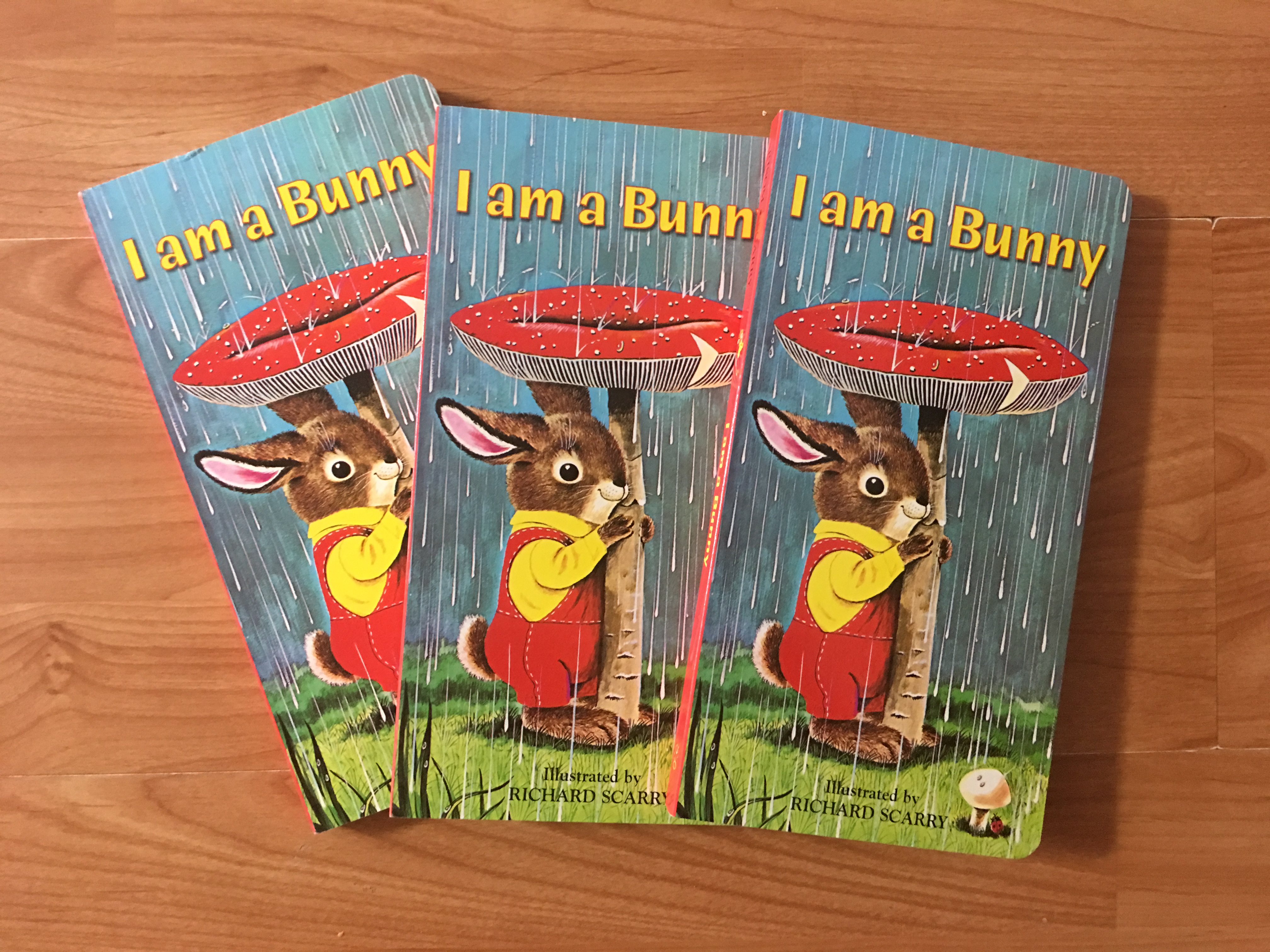 美国书宝贝【夏季清仓大减价】最受欢迎的绘本 i am a bunny