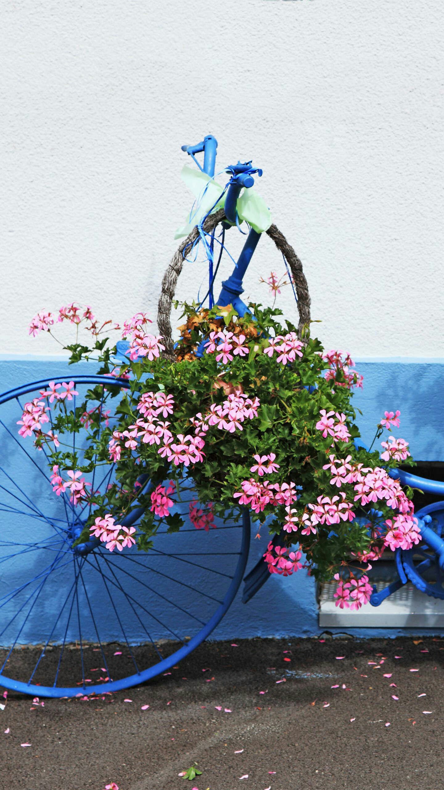 一元专拍 - 德科优品--进口产品专卖