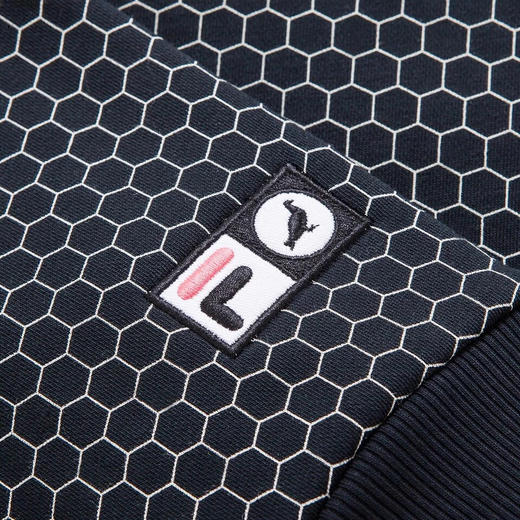 泰富七楼FILA斐乐 x STAPLE联名男女同款卫衣2017秋季新款连帽运动卫衣女【待调整】 商品图3