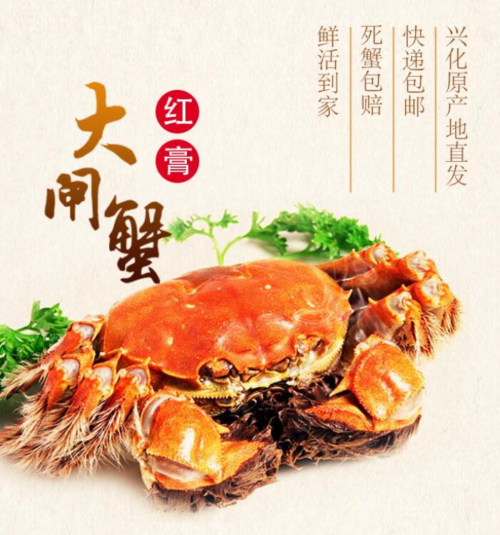 江苏兴化红膏大闸蟹,产地直发- 华农兄弟特产商城