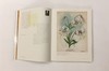 【新书正版预订！8月31日前发货！】芳华修远：第19届国际植物学大会植物艺术画展画集（实物比图片更精美） 商品缩略图2