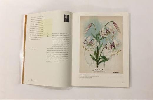【新书正版预订！8月31日前发货！】芳华修远：第19届国际植物学大会植物艺术画展画集（实物比图片更精美） 商品图2