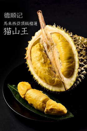 顶级马来西亚猫山王榴莲d197 全世界最顶级的猫山王 没有之一 108元