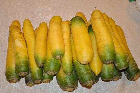 水黄萝卜1斤(c.蔬菜)