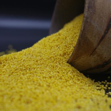 高原生态小米份额  | 合作生产* Share of plateau Eco-millet | Partner Production 商品图2