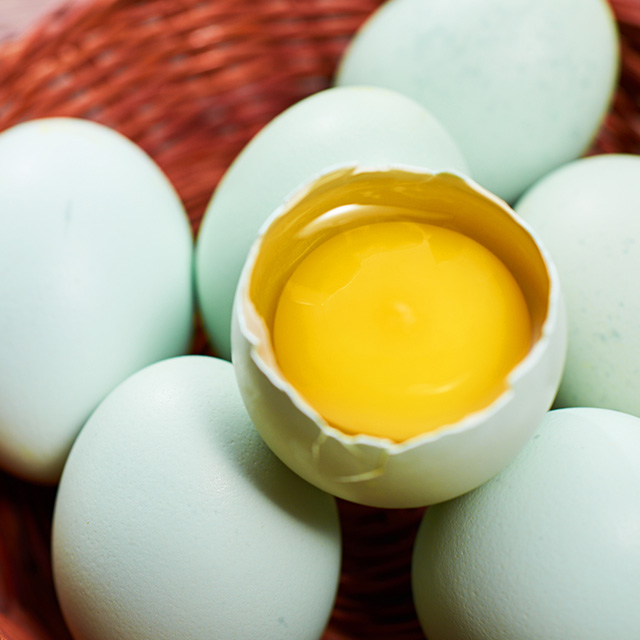 长顺富硒绿壳蛋 | 鸡蛋中的人参,更高营养,更易吸收