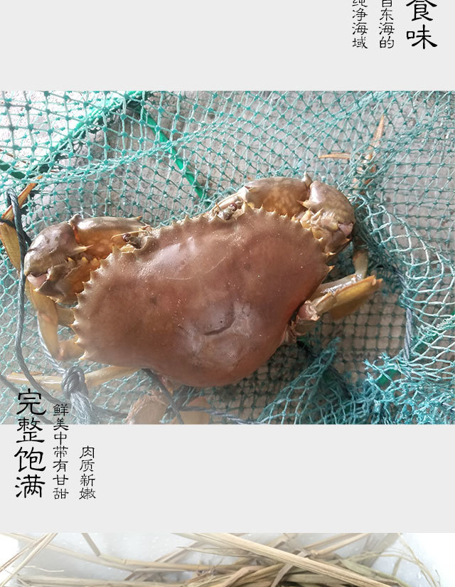 野生红鲟350g-450g