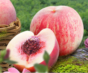 【福安穆阳水蜜桃】,宁德市区内专享链接,7月6日首发(单天晚6点前下单