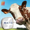 商品缩略图