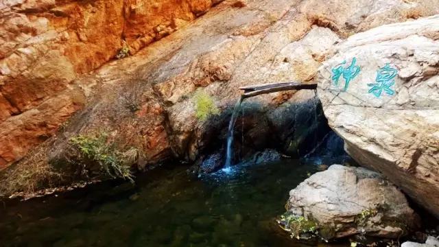 1日遊【神泉峽】 水域原始森林,暢飲神泉水休閒攝影