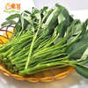 东升农场 通菜 空心菜竹叶菜 华东地区蔬菜新鲜配送 300g 商品缩略图0