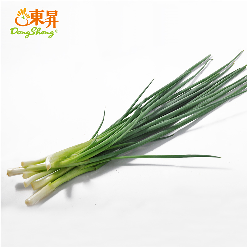 东升农场 无公害生葱 香葱调配料 毛葱 广州蔬菜新鲜配送 100g