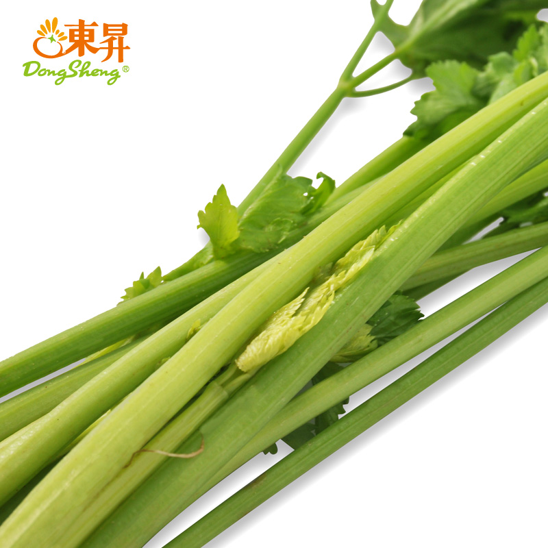 东升农场 无公害小香芹 150g