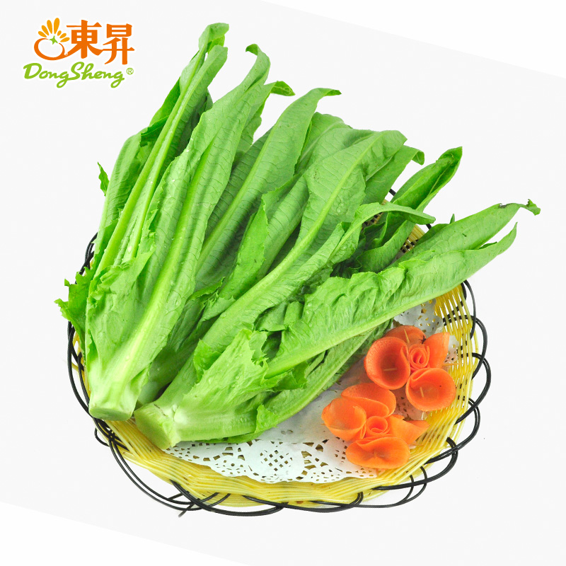 东升农场 无公害油麦菜 300g 供港蔬菜新鲜配送