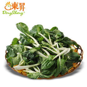 东升农场 有机奶白菜苗 小白菜苗 广州供港新鲜蔬菜配送 300g