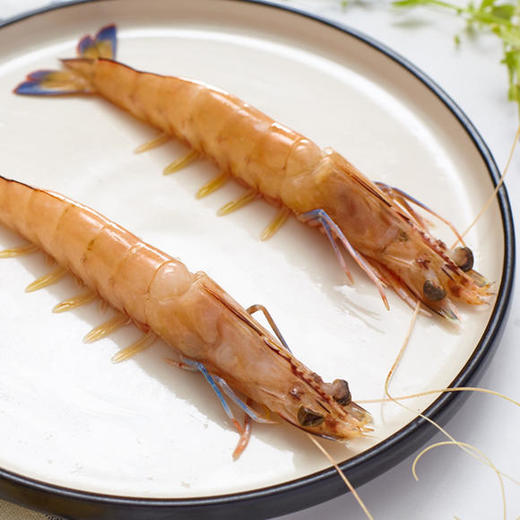 【东山岛野生捕捞】深海蓝尾虾,鲜嫩多汁(好物说)