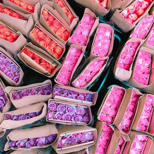 （永久下架）七夕玫瑰预售 厄瓜多尔 空运特级玫瑰（只限江浙沪地区派送） 商品图2