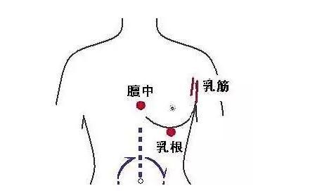 胸部6联灸