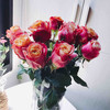 （永久下架）七夕玫瑰预售 厄瓜多尔 空运特级玫瑰（只限江浙沪地区派送） 商品缩略图1