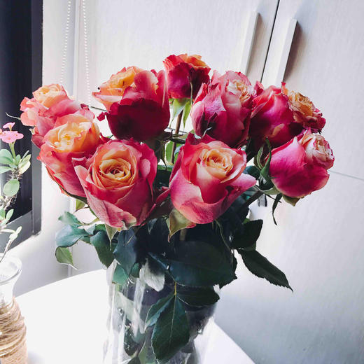 （永久下架）七夕玫瑰预售 厄瓜多尔 空运特级玫瑰（只限江浙沪地区派送） 商品图1